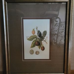 Set of 2 Decorative Framed Wall Art